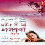 Kaun Hai Wo Ajnabi - Altaf Raja Song Download